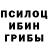 Галлюциногенные грибы Cubensis Jibrael Waday