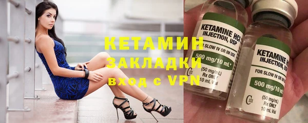 индика Алексин