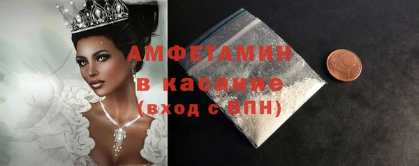 индика Алексин