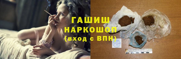 индика Алексин